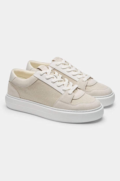 THE PAVIO TRAINER